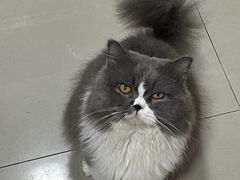 -博特宠物医院24h犬猫全科.骨科·异宠