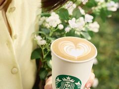 -星巴克(保定华创广场店)