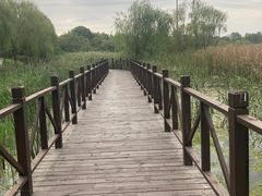-贡湖湾湿地公园