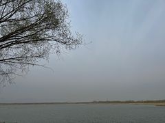 -野鸭湖国家湿地公园