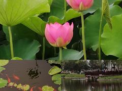 -西海子公园