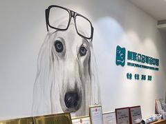 -美联众合动物医院·24h转诊中心
