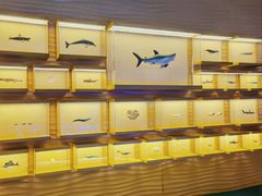 -上海中国航海博物馆