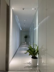 -agge蛋白医美