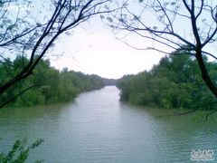 -大湾区中央湿地公园