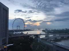 -新加坡文华东方酒店