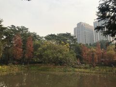 -广州珠江公园