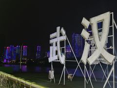 -武汉两江游览·夜游长江(汉口粤汉码头)