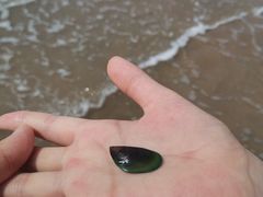 -椰风寨