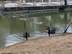 -南京医科大学(江宁校区)
