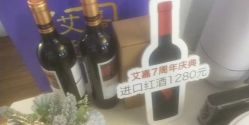 -艾嘉形象