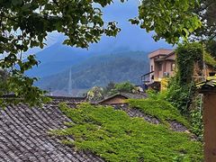 -杨家堂村