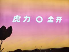 -丁虎子烤肉(国道二店)