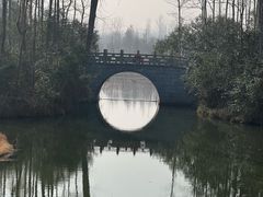 -溱湖国家湿地公园