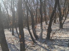 -帽儿山国家森林公园