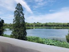 -素心小筑(后沙裕镇店)