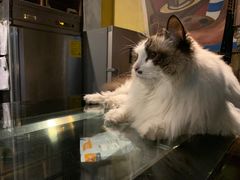 -咖法森林·咖啡  酒吧(天河店)