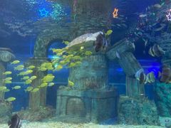 -石家庄市动物园