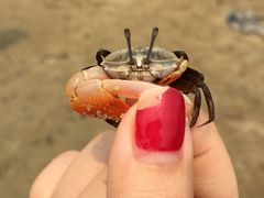 -宴悦海鲜餐厅·游水海鲜·牛排(亚龙湾瑞吉店)
