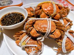 -杨氏青龙虾·羊蝎子(金盛路总店)
