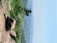 -惠山国家森林公园