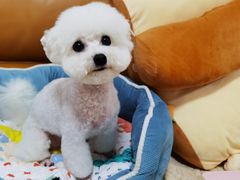 -爱侣宠医·鹦鹉专科·小型哺乳类·异宠专科(灵石路店)