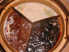 -麻路成都火锅(柏威年店)