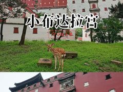 -普陀宗乘之庙(小布达拉宫)