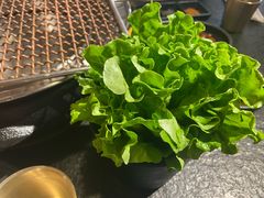 -九田家黑牛烤肉料理(欧洲假日店)