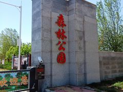 -塘沽森林公园