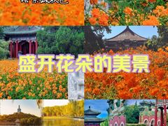 -北海公园