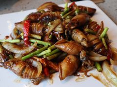酱爆八爪鱼-四海蒸鲜蒸汽海鲜自助(北戴河店)