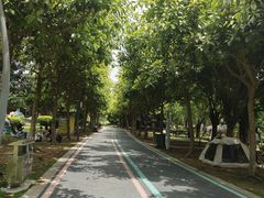 -琅岐红光湖公园