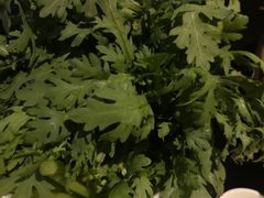-捞王猪肚鸡火锅(财富中心店)