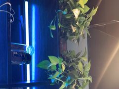 -NRG 健身私教CLUB(云山路店)