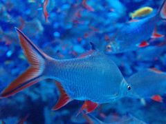 -成都浩海立方海洋公园