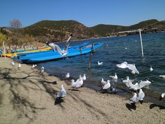 -泸沽湖里格半岛