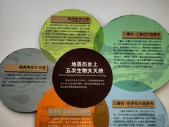 -云南省博物馆