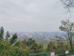 -大蜀山国家森林公园