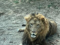 -北京野生动物园