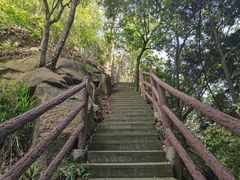 -缙云山景区