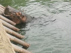 -杭州野生动物世界