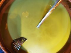 -凤凰山斑鱼馆(恭城店)