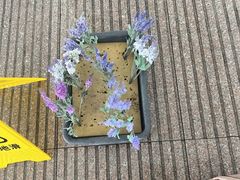 -贵阳龙洞堡国际机场-T2航站楼