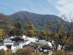 -塔川景区