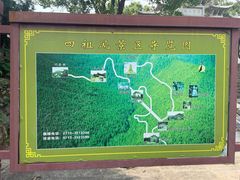 -四祖寺