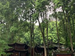 -青城山