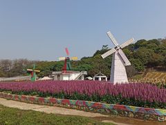 -松山湖南湖湾露营营地