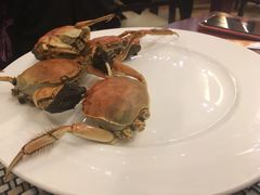 -民族饭店-四季餐厅