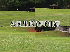 -温江公园